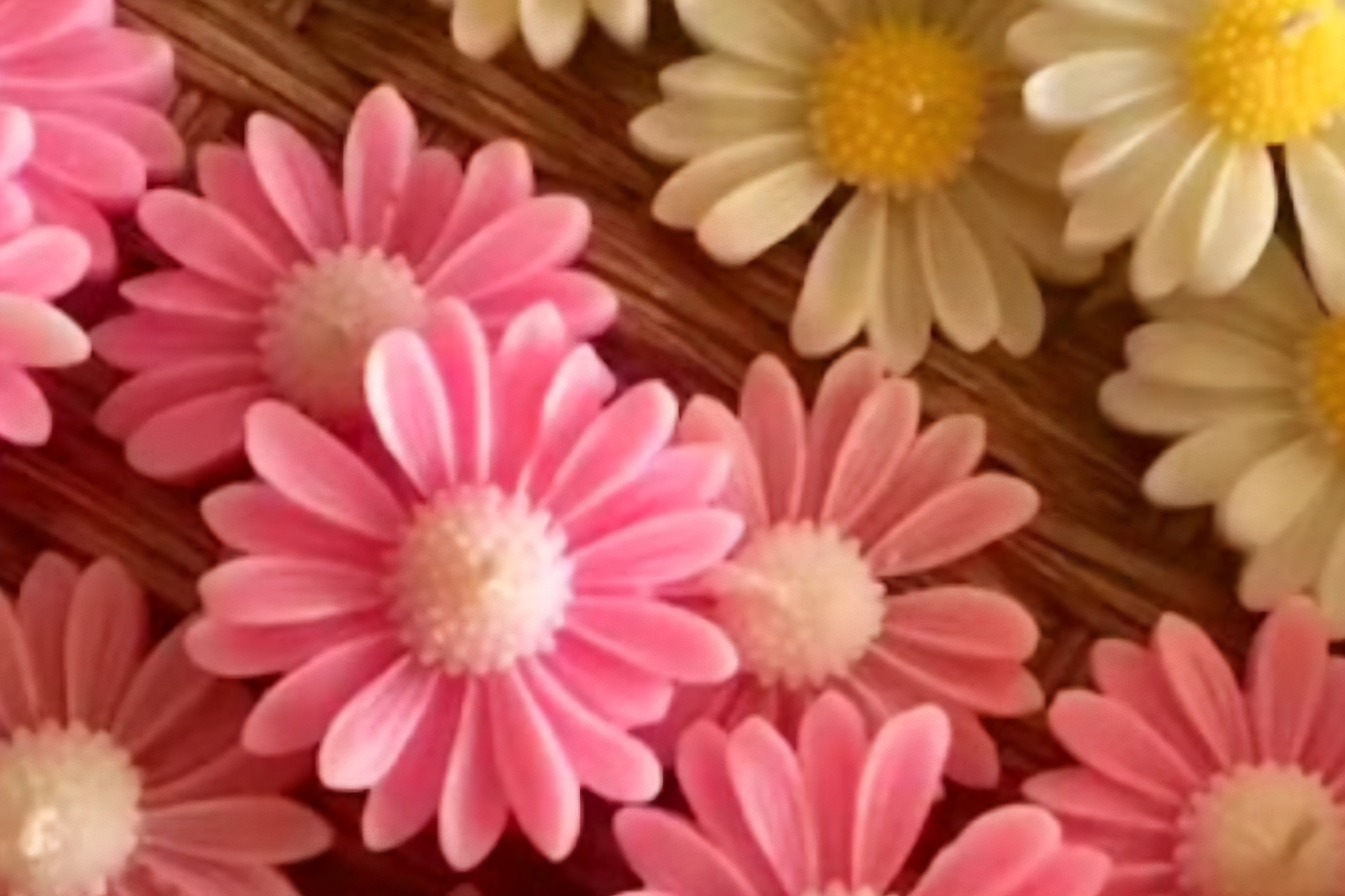 شمع مارگاریت